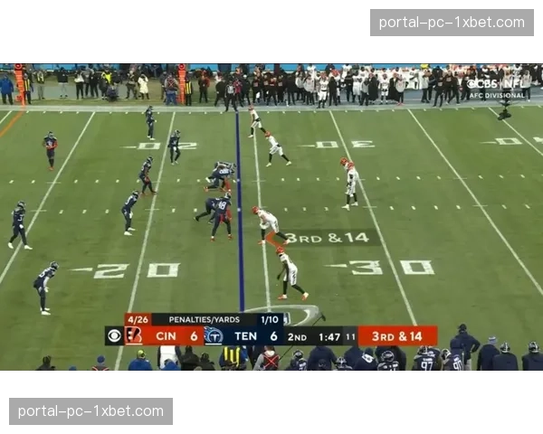 观点分析：NFL“口袋四分卫”在当今联盟的生存空间是否越来越小？